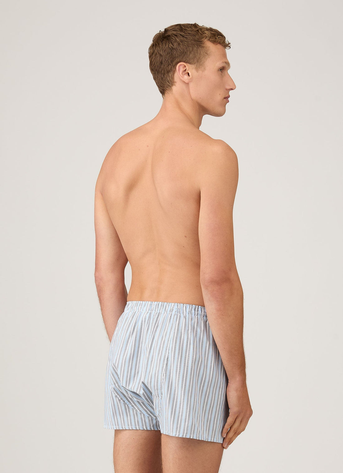 Men's Classic Boxer Short in Blue Stripe