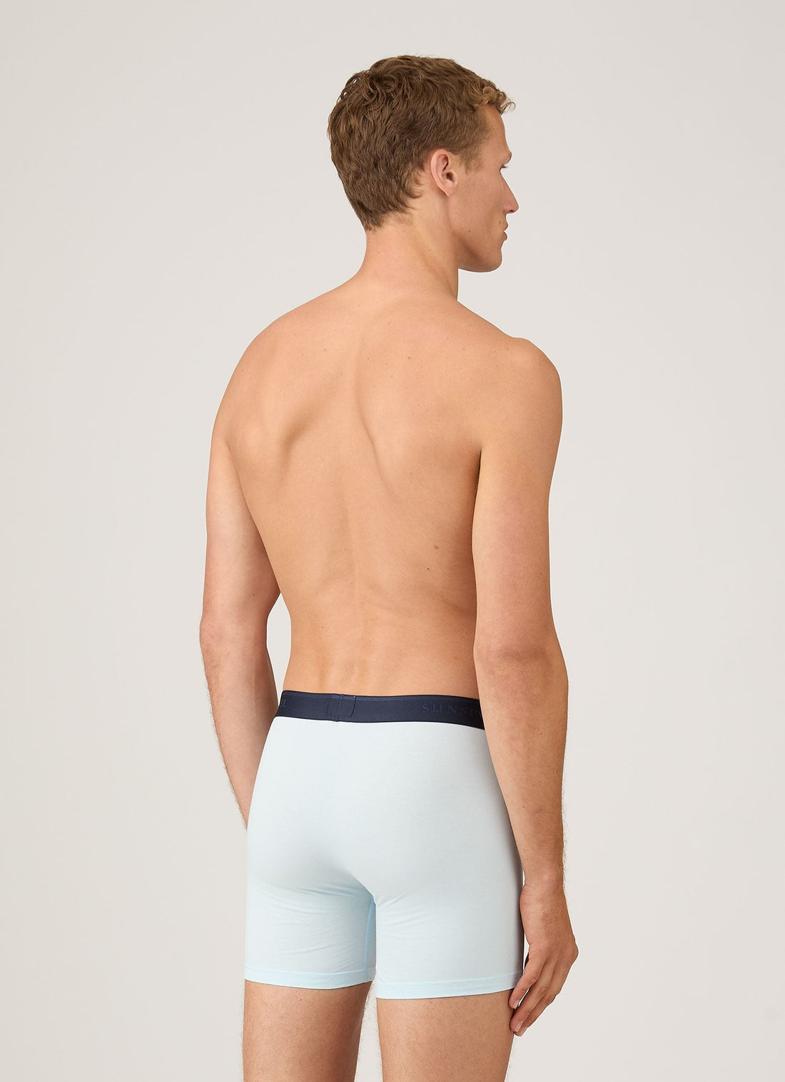 Men's Supima Cotton Stretch Boxer Briefs in Light Blue