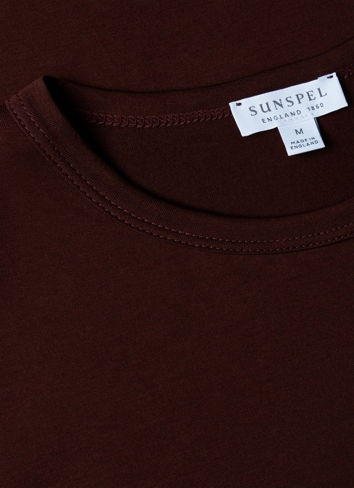 Men's Classic T-shirt in Raisin