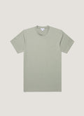 Pastel Green